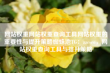 网站权重网站权重查询工具网站权重的重要性与提升策略蜘蛛池TG：zzcseo，网站权重查询工具与提升策略