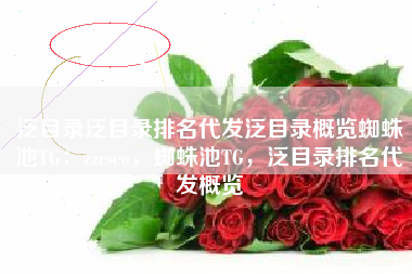 泛目录泛目录排名代发泛目录概览蜘蛛池TG：zzcseo，蜘蛛池TG，泛目录排名代发概览
