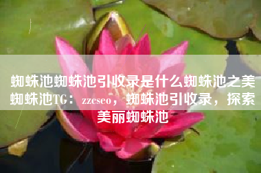 蜘蛛池蜘蛛池引收录是什么蜘蛛池之美蜘蛛池TG：zzcseo，蜘蛛池引收录，探索美丽蜘蛛池