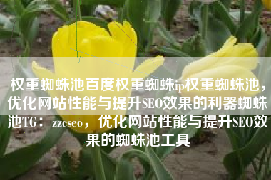 权重蜘蛛池百度权重蜘蛛ip权重蜘蛛池，优化网站性能与提升SEO效果的利器蜘蛛池TG：zzcseo，优化网站性能与提升SEO效果的蜘蛛池工具