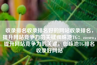 收录排名收录排名好的网站收录排名，提升网站竞争力的关键蜘蛛池TG：zzcseo，提升网站竞争力的关键，蜘蛛池TG排名收录好网站