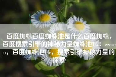 百度蜘蛛百度蜘蛛池是什么百度蜘蛛，百度搜索引擎的神秘力量蜘蛛池TG：zzcseo，百度蜘蛛池TG，搜索引擎神秘力量的探索