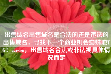 出售域名出售域名是合法的还是违法的出售域名，寻找下一个商业机会蜘蛛池TG：zzcseo，出售域名合法或非法视具体情况而定