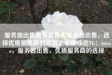 服务器出售服务器售卖服务器出售，选择优质服务商的明智之举蜘蛛池TG：zzcseo，服务器出售，优质服务商的选择