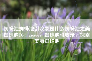 蜘蛛池蜘蛛池引收录是什么蜘蛛池之美蜘蛛池TG：zzcseo，蜘蛛池引收录，探索美丽蜘蛛池