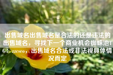 出售域名出售域名是合法的还是违法的出售域名，寻找下一个商业机会蜘蛛池TG：zzcseo，出售域名合法或非法视具体情况而定