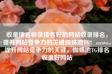 收录排名收录排名好的网站收录排名，提升网站竞争力的关键蜘蛛池TG：zzcseo，提升网站竞争力的关键，蜘蛛池TG排名收录好网站