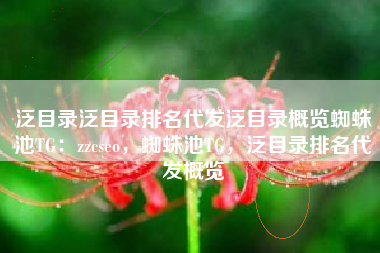 泛目录泛目录排名代发泛目录概览蜘蛛池TG：zzcseo，蜘蛛池TG，泛目录排名代发概览