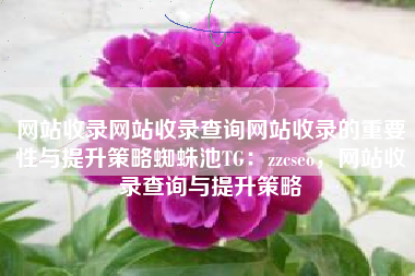 网站收录网站收录查询网站收录的重要性与提升策略蜘蛛池TG：zzcseo，网站收录查询与提升策略