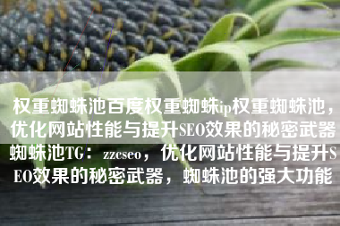 权重蜘蛛池百度权重蜘蛛ip权重蜘蛛池，优化网站性能与提升SEO效果的秘密武器蜘蛛池TG：zzcseo，优化网站性能与提升SEO效果的秘密武器，蜘蛛池的强大功能