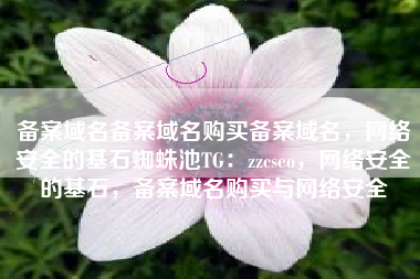 备案域名备案域名购买备案域名，网络安全的基石蜘蛛池TG：zzcseo，网络安全的基石，备案域名购买与网络安全