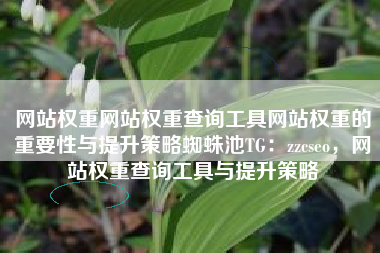 网站权重网站权重查询工具网站权重的重要性与提升策略蜘蛛池TG：zzcseo，网站权重查询工具与提升策略