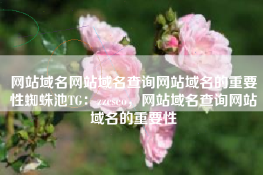 网站域名网站域名查询网站域名的重要性蜘蛛池TG：zzcseo，网站域名查询网站域名的重要性