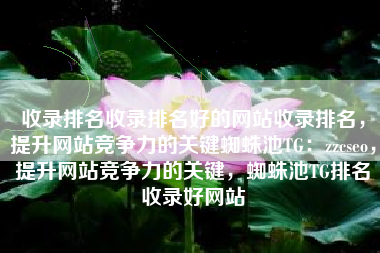 收录排名收录排名好的网站收录排名，提升网站竞争力的关键蜘蛛池TG：zzcseo，提升网站竞争力的关键，蜘蛛池TG排名收录好网站