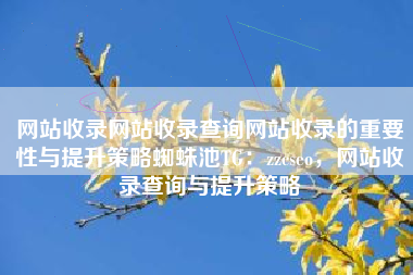 网站收录网站收录查询网站收录的重要性与提升策略蜘蛛池TG：zzcseo，网站收录查询与提升策略