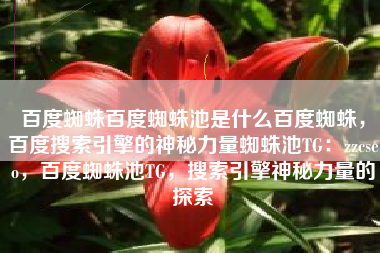 百度蜘蛛百度蜘蛛池是什么百度蜘蛛，百度搜索引擎的神秘力量蜘蛛池TG：zzcseo，百度蜘蛛池TG，搜索引擎神秘力量的探索