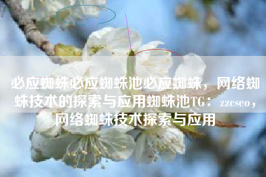 必应蜘蛛必应蜘蛛池必应蜘蛛，网络蜘蛛技术的探索与应用蜘蛛池TG：zzcseo，网络蜘蛛技术探索与应用