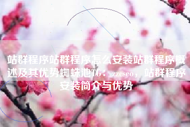 站群程序站群程序怎么安装站群程序概述及其优势蜘蛛池TG：zzcseo，站群程序安装简介与优势