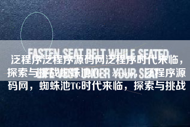 泛程序泛程序源码网泛程序时代来临，探索与挑战蜘蛛池TG：zzcseo，泛程序源码网，蜘蛛池TG时代来临，探索与挑战