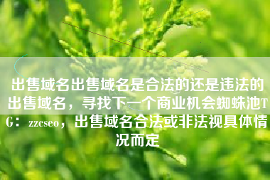 出售域名出售域名是合法的还是违法的出售域名，寻找下一个商业机会蜘蛛池TG：zzcseo，出售域名合法或非法视具体情况而定