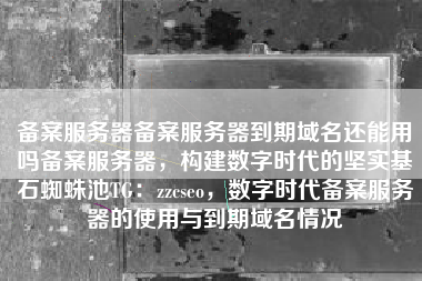 备案服务器备案服务器到期域名还能用吗备案服务器，构建数字时代的坚实基石蜘蛛池TG：zzcseo，数字时代备案服务器的使用与到期域名情况
