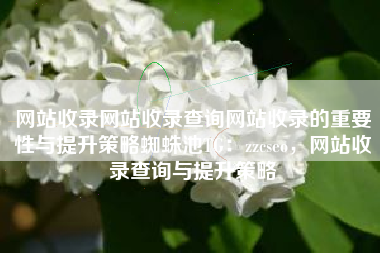 网站收录网站收录查询网站收录的重要性与提升策略蜘蛛池TG：zzcseo，网站收录查询与提升策略