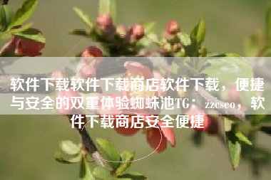 软件下载软件下载商店软件下载，便捷与安全的双重体验蜘蛛池TG：zzcseo，软件下载商店安全便捷