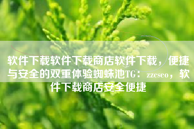 软件下载软件下载商店软件下载，便捷与安全的双重体验蜘蛛池TG：zzcseo，软件下载商店安全便捷