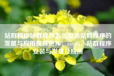 站群程序站群程序怎么安装站群程序的发展与应用蜘蛛池TG：zzcseo，站群程序安装与发展及应用