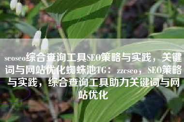 seoseo综合查询工具SEO策略与实践，关键词与网站优化蜘蛛池TG：zzcseo，SEO策略与实践，综合查询工具助力关键词与网站优化