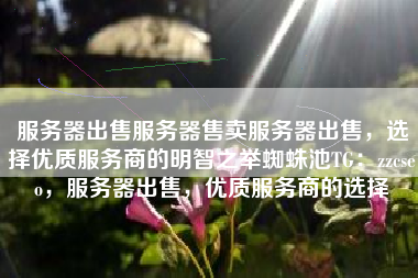 服务器出售服务器售卖服务器出售，选择优质服务商的明智之举蜘蛛池TG：zzcseo，服务器出售，优质服务商的选择