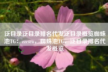 泛目录泛目录排名代发泛目录概览蜘蛛池TG：zzcseo，蜘蛛池TG，泛目录排名代发概览