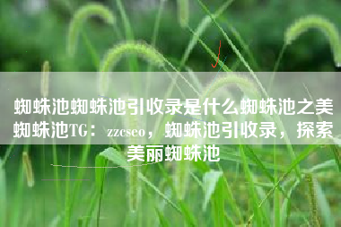 蜘蛛池蜘蛛池引收录是什么蜘蛛池之美蜘蛛池TG：zzcseo，蜘蛛池引收录，探索美丽蜘蛛池