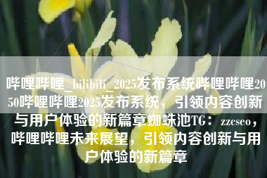 哔哩哔哩_bilibili_2025发布系统哔哩哔哩2050哔哩哔哩2025发布系统，引领内容创新与用户体验的新篇章蜘蛛池TG：zzcseo，哔哩哔哩未来展望，引领内容创新与用户体验的新篇章