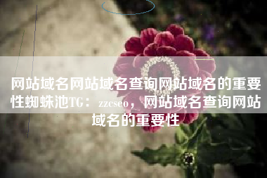 网站域名网站域名查询网站域名的重要性蜘蛛池TG：zzcseo，网站域名查询网站域名的重要性