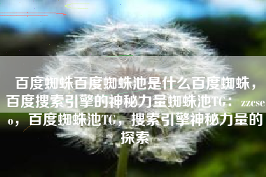 百度蜘蛛百度蜘蛛池是什么百度蜘蛛，百度搜索引擎的神秘力量蜘蛛池TG：zzcseo，百度蜘蛛池TG，搜索引擎神秘力量的探索