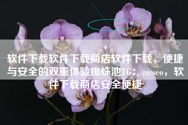 软件下载软件下载商店软件下载，便捷与安全的双重体验蜘蛛池TG：zzcseo，软件下载商店安全便捷