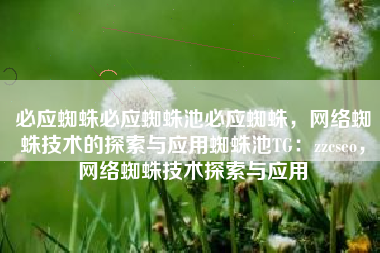 必应蜘蛛必应蜘蛛池必应蜘蛛，网络蜘蛛技术的探索与应用蜘蛛池TG：zzcseo，网络蜘蛛技术探索与应用