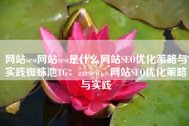 网站seo网站seo是什么网站SEO优化策略与实践蜘蛛池TG：zzcseo，网站SEO优化策略与实践