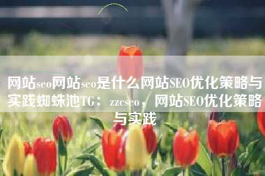网站seo网站seo是什么网站SEO优化策略与实践蜘蛛池TG：zzcseo，网站SEO优化策略与实践