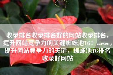 收录排名收录排名好的网站收录排名，提升网站竞争力的关键蜘蛛池TG：zzcseo，提升网站竞争力的关键，蜘蛛池TG排名收录好网站