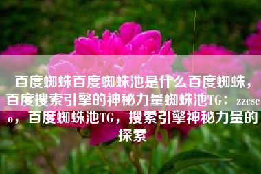 百度蜘蛛百度蜘蛛池是什么百度蜘蛛，百度搜索引擎的神秘力量蜘蛛池TG：zzcseo，百度蜘蛛池TG，搜索引擎神秘力量的探索
