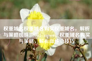 权重域名权重域名购买权重域名，解析与策略蜘蛛池TG：zzcseo，权重域名购买与策略，解析蜘蛛池技巧