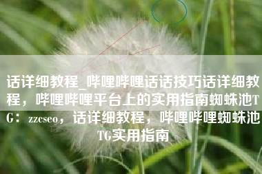 话详细教程_哔哩哔哩话话技巧话详细教程，哔哩哔哩平台上的实用指南蜘蛛池TG：zzcseo，话详细教程，哔哩哔哩蜘蛛池TG实用指南