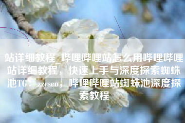 站详细教程_哔哩哔哩站怎么用哔哩哔哩站详细教程，快速上手与深度探索蜘蛛池TG：zzcseo，哔哩哔哩站蜘蛛池深度探索教程