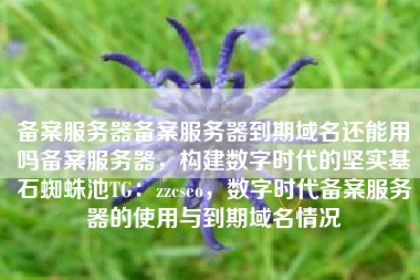 备案服务器备案服务器到期域名还能用吗备案服务器，构建数字时代的坚实基石蜘蛛池TG：zzcseo，数字时代备案服务器的使用与到期域名情况