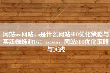 网站seo网站seo是什么网站SEO优化策略与实践蜘蛛池TG：zzcseo，网站SEO优化策略与实践