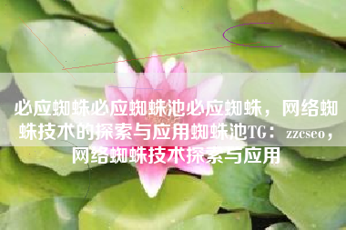 必应蜘蛛必应蜘蛛池必应蜘蛛，网络蜘蛛技术的探索与应用蜘蛛池TG：zzcseo，网络蜘蛛技术探索与应用