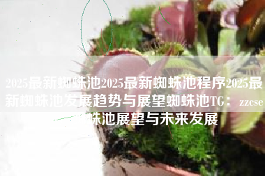 2025最新蜘蛛池2025最新蜘蛛池程序2025最新蜘蛛池发展趋势与展望蜘蛛池TG：zzcseo，蜘蛛池展望与未来发展