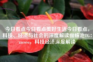 今日看点今日看点美好生活今日看点，科技、经济与社会的深度解读蜘蛛池TG：zzcseo，科技经济深度解读